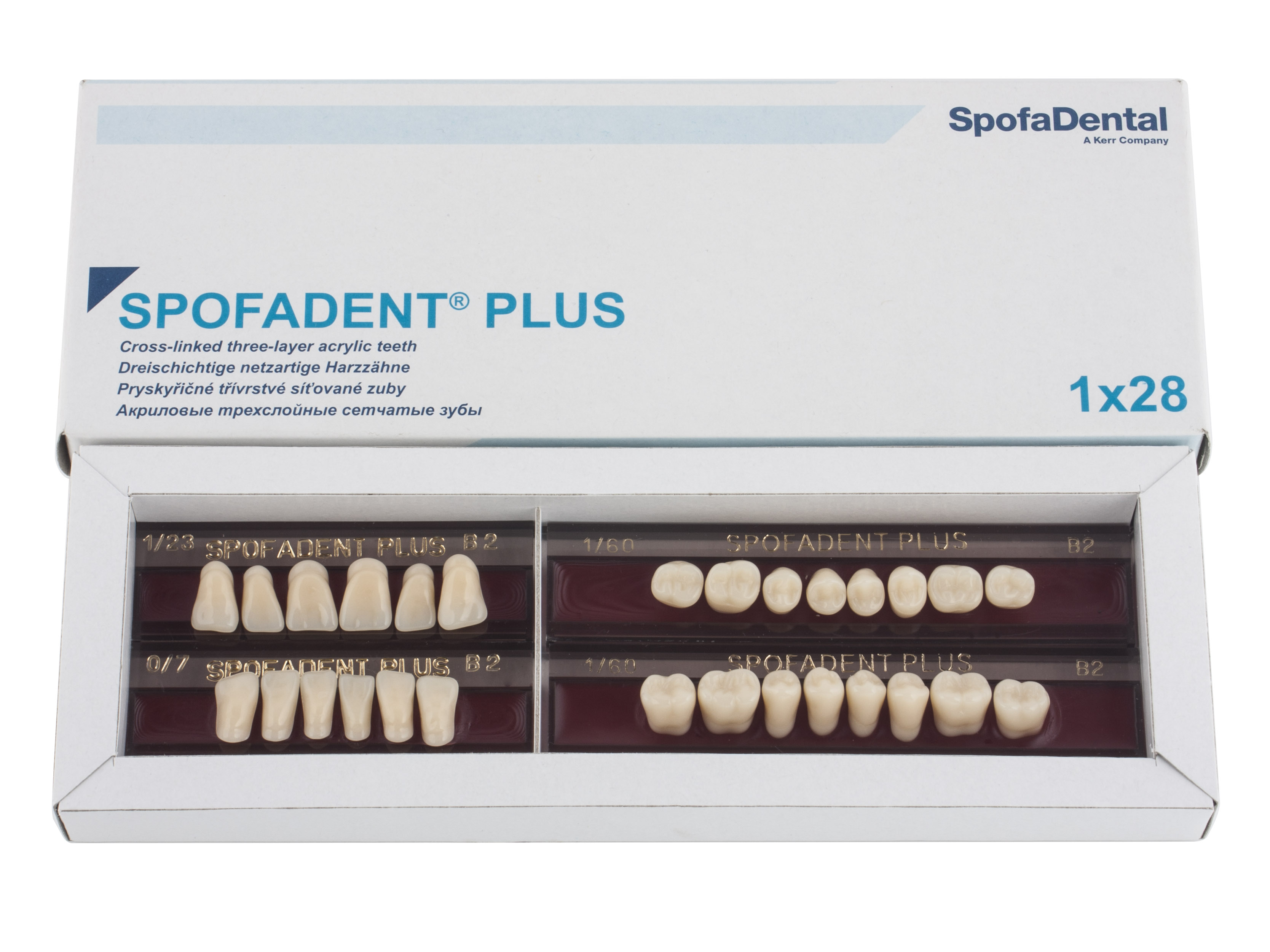Спофадент Плюс (В2) 1/23-0/7-1/60